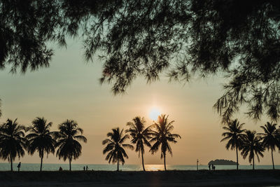 Silhouette palm trees on beach against sky during sunset