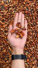 High angle view of hand holding pebbles