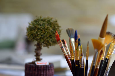 Close-up of paintbrushes by plant