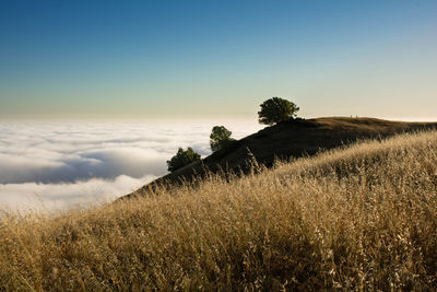 Grass on mountain against cloudscape