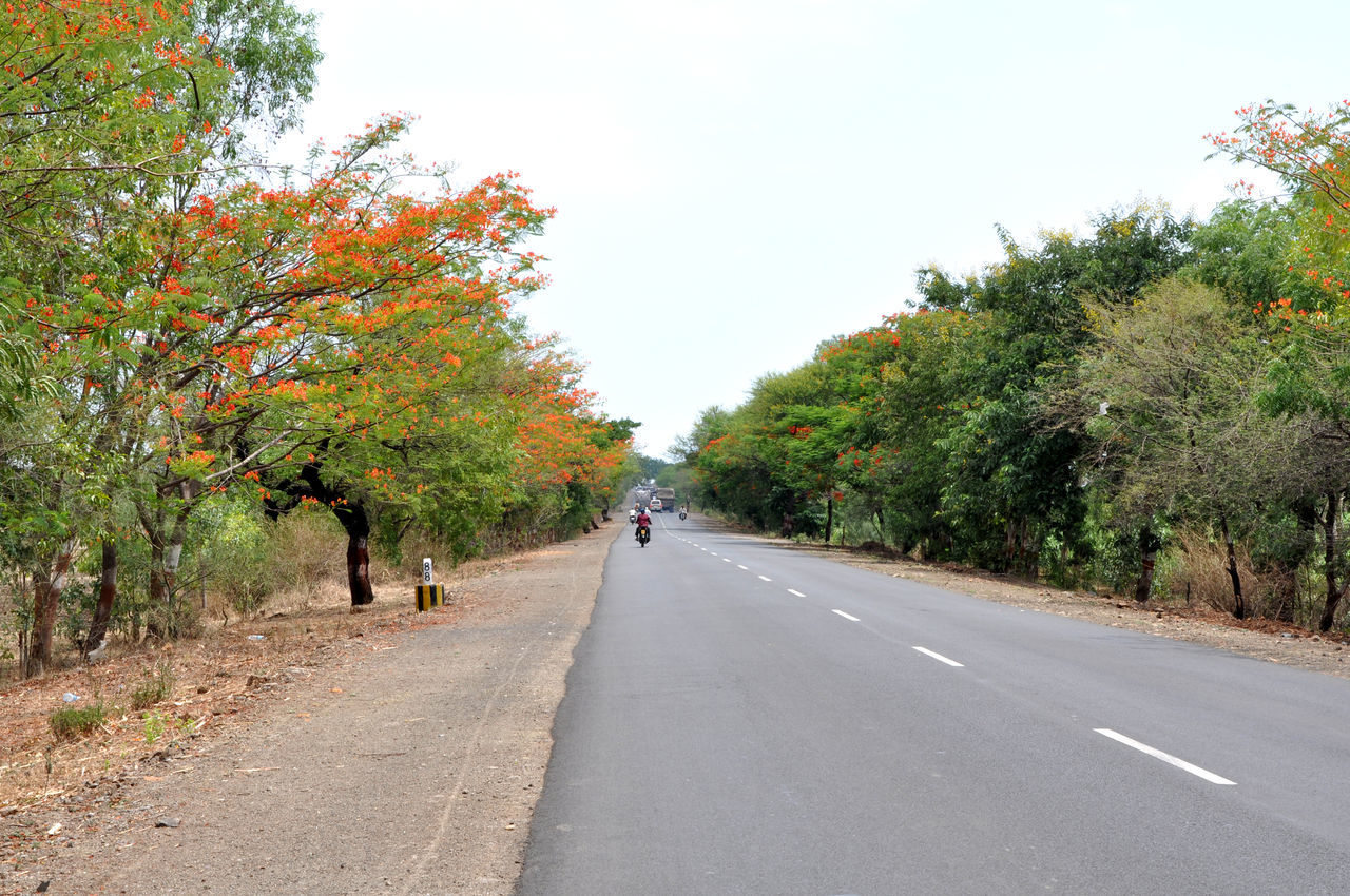 ROAD BY TREES AGAINST SKY