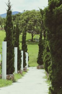 Scenic view of trees on landscape against sky