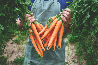 Hand holding orange leaf in farm