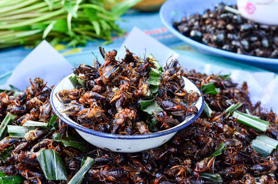 High angle view of insect on table