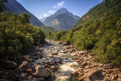 River amidst trees in forest against sky