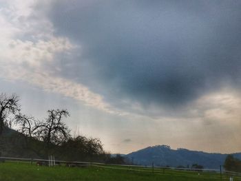 Scenic view of field against sky