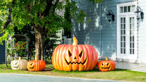 View of pumpkins against trees during autumn