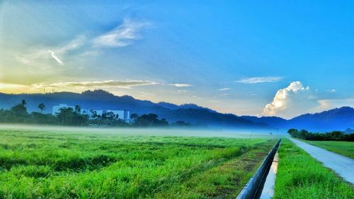 Scenic view of agricultural field against blue sky