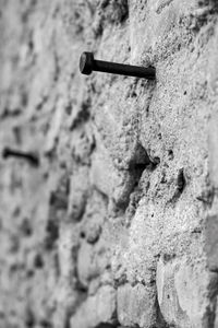 Close-up of stone wall