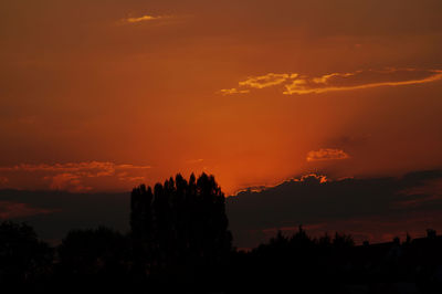 Silhouette trees against dramatic sky during sunset