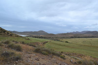 Scenic view of field against sky