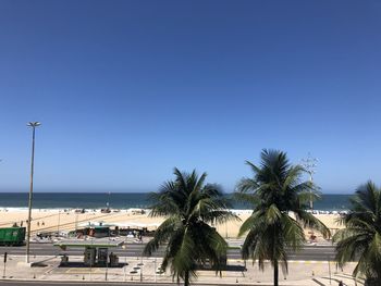 Palm trees by swimming pool against clear blue sky