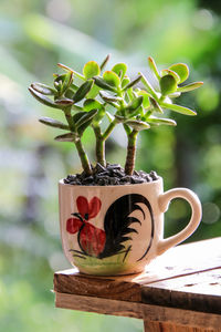 Close-up of coffee served on table