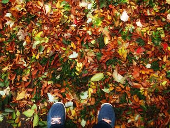 Low section of man standing on fallen leaves