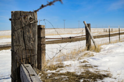 Opening in the barbed wire fence, at the corner of pasture