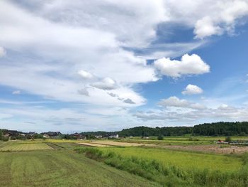 Scenic view of agricultural field against sky