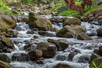 Scenic view of waterfall