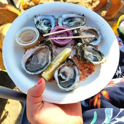 High angle view of hand holding food