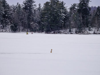 People on snow covered field