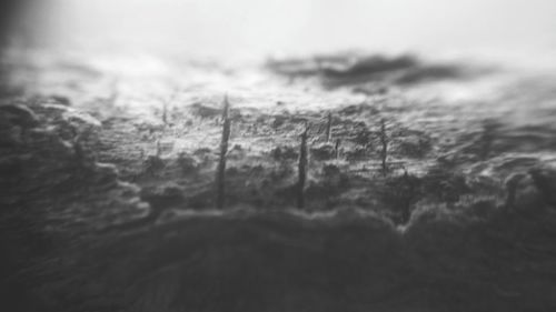 Close-up of trees against sky during winter