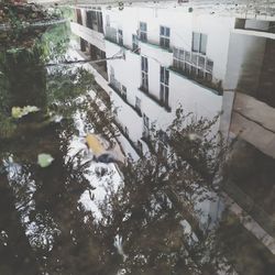 High angle view of swimming pool by building