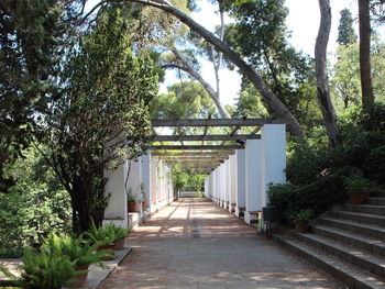 Empty footpath in park