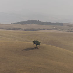 Scenic view of land against sky