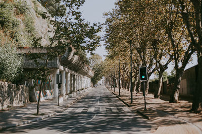 View of empty road along trees