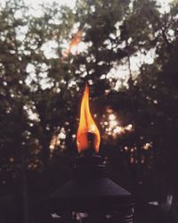 Close-up of lit tea light candles in temple