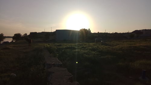 Scenic view of field against sky during sunset