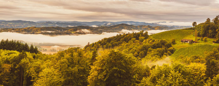 Scenic view of trees and mountains against sky