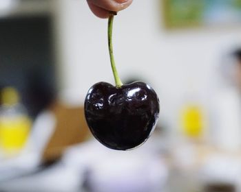 Close-up of hand holding fruit