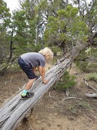 Full length of young woman on tree