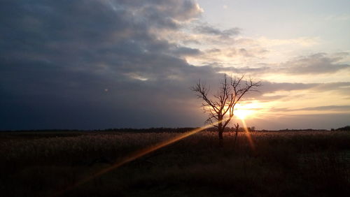 Scenic view of field against sky during sunset