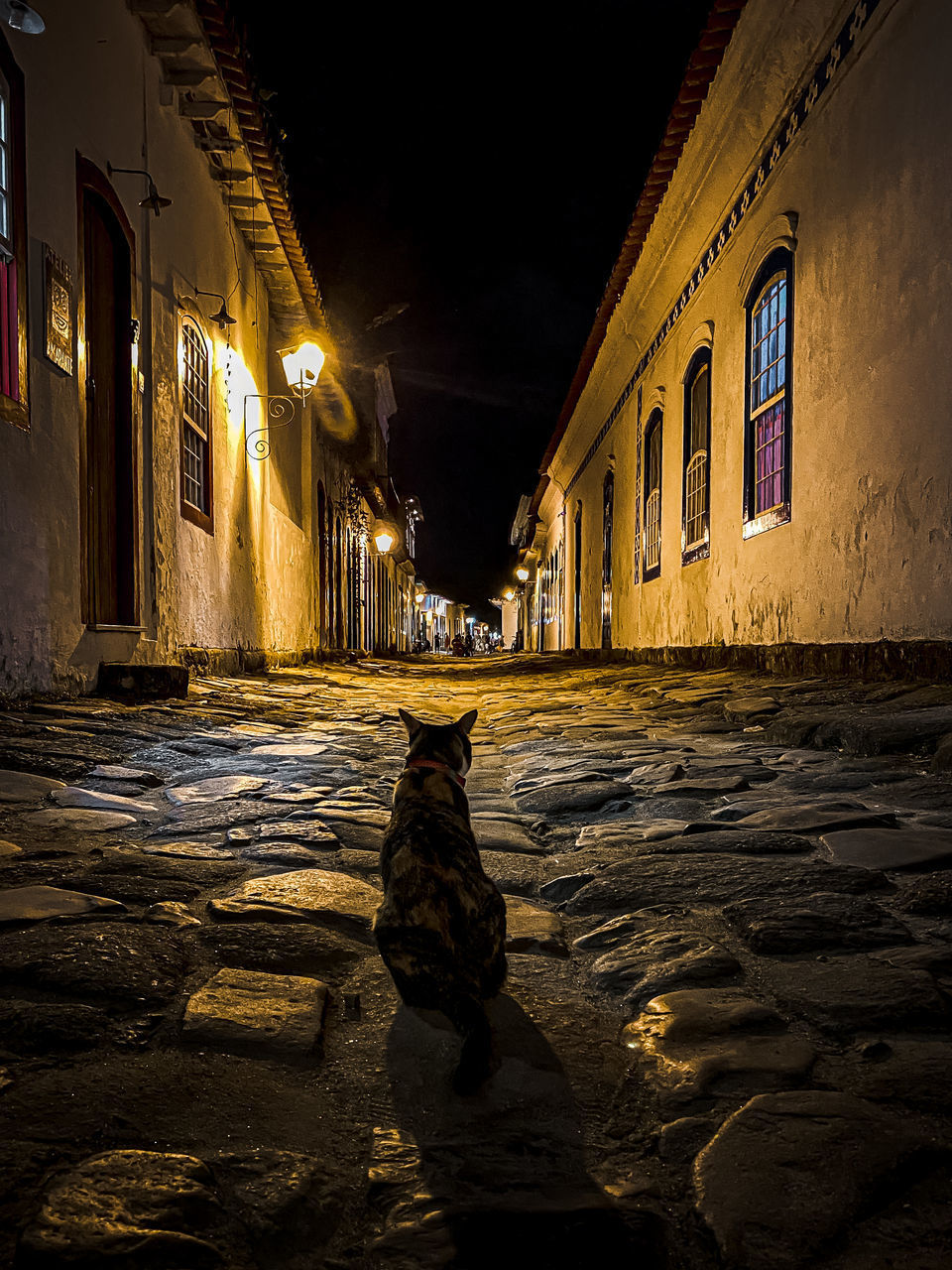 FOOTPATH BY STREET AGAINST BUILDINGS AT NIGHT