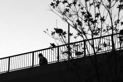 Low angle view of silhouette man by railing against sky