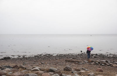 Rear view of man standing on beach against clear sky