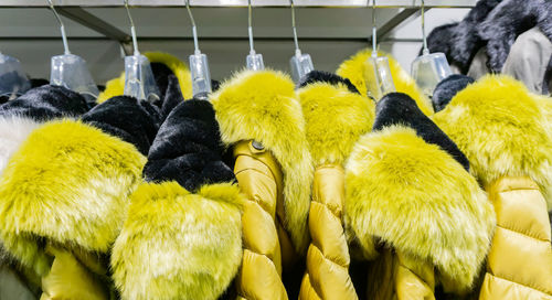 Close-up of fur coats hanging in clothing store