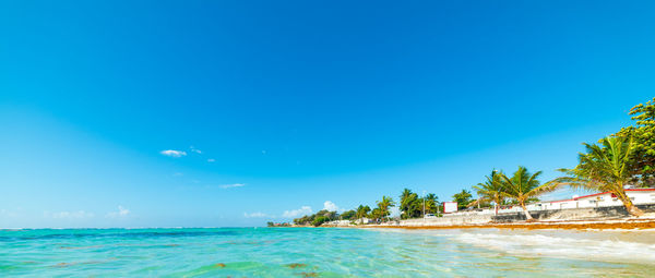 Scenic view of sea against blue sky