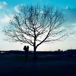 Silhouette of bare tree against sky