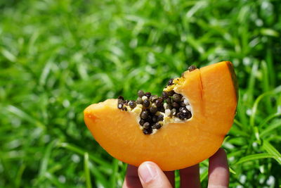 Close-up of hand holding orange