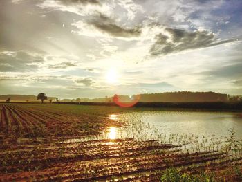 Scenic view of field against sky during sunset