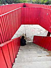 Rear view of woman standing on staircase