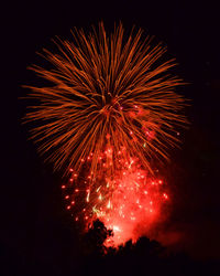 Low angle view of firework display at night