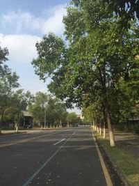 Empty road along trees