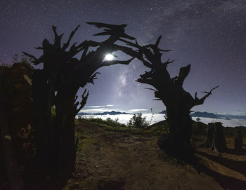 Trees on field against sky at sunset