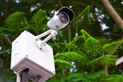 Close-up of coin-operated binoculars against plants