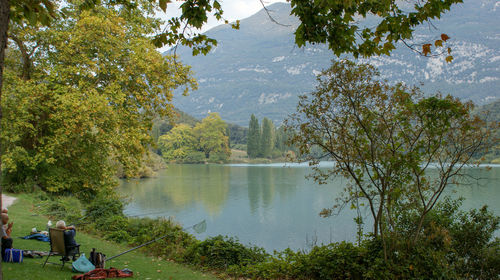 Scenic view of lake by trees