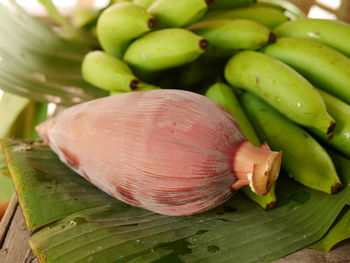 High angle view of fruits