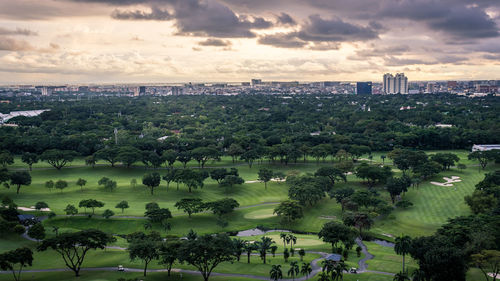 High angle view of trees and buildings in city